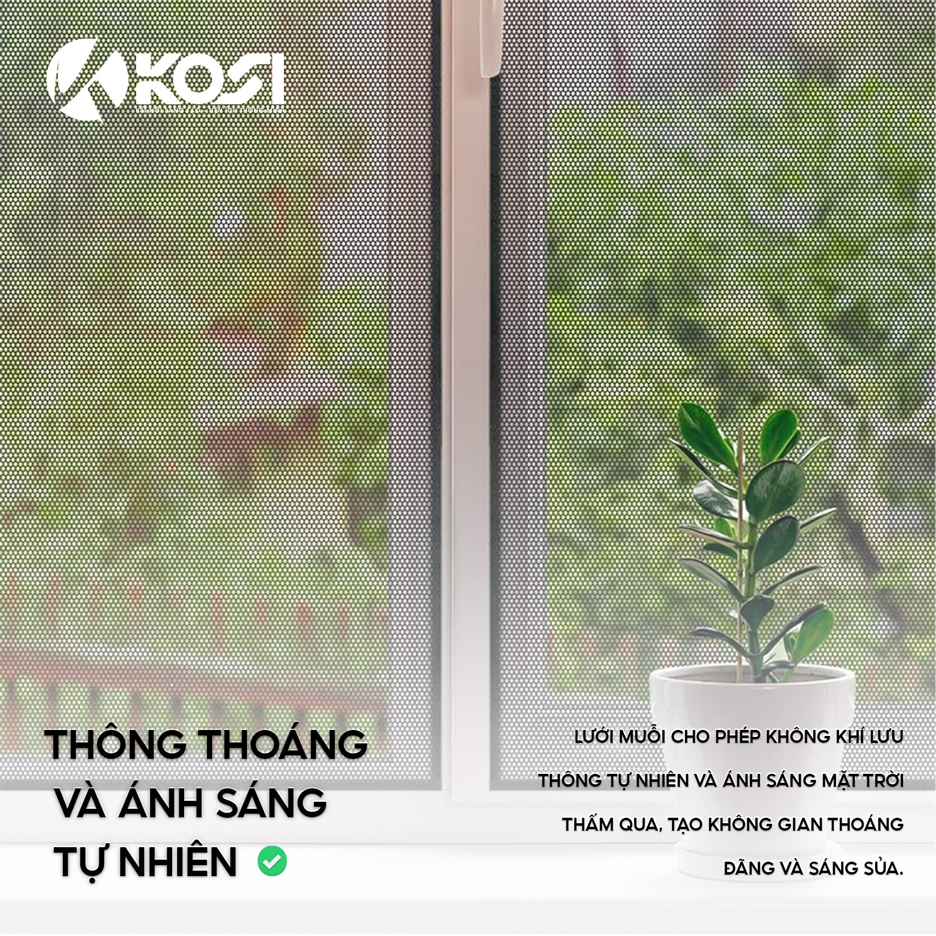 1. Đặc Điểm Nổi Bật 1